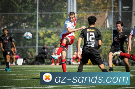 App Interface Preview